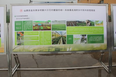 園藝學院春菜品種展示交流會 科技賦能農業，創新引領未來